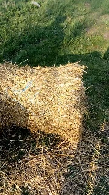 Самодельный прессподборщик ( тюки) смотреть онлайн