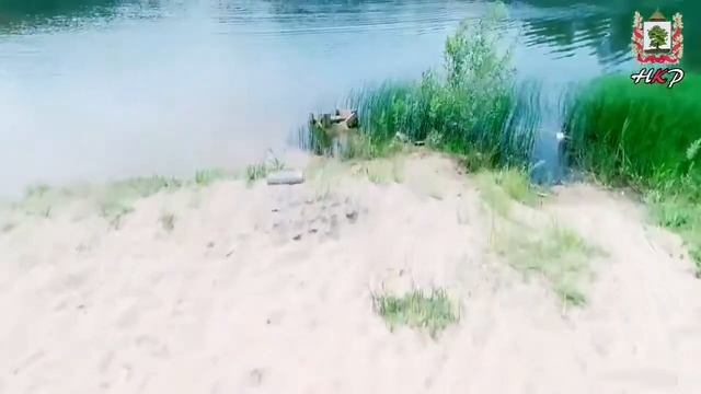 Купайтесь безопасно! смотреть онлайн