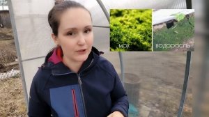 Зеленый налет в теплице: причины и как с этим бороться