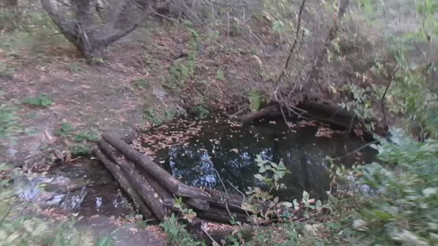 Родник в исчезнувшем посёлке Борьба (Базарно-Карабулакский район).