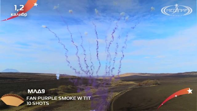 МЛД9 Линия дневная фиолетовая 10*1,2 смотреть онлайн