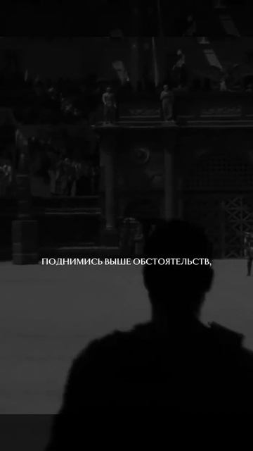 Щит дисциплина смотреть онлайн