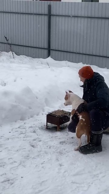 Russian snowman #shorts #snow #winter #холодноесердце смотреть онлайн