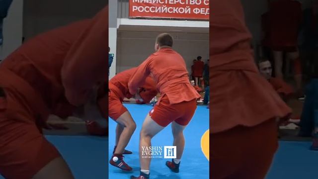23 сентября 2024 г.