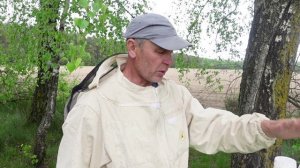 обработка рапса в близи пасеки