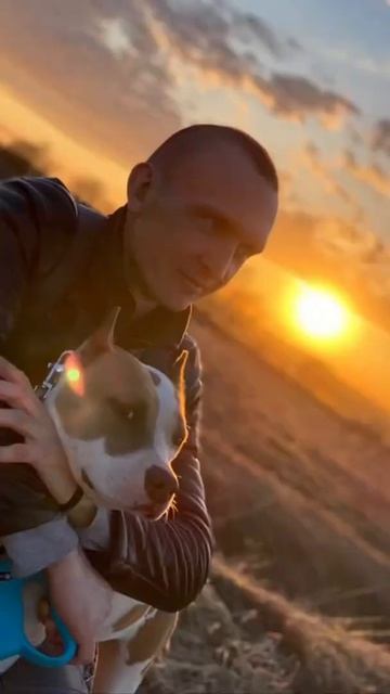 Наш Стаффорд #shorts #staffordshire смотреть онлайн