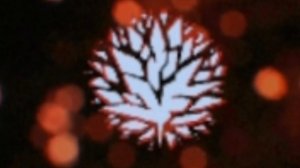 Организация кровавый кристалл