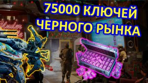 75000 КЛЮЧЕЙ ЧЕРНОГО РЫНКА | War Robots | MG
