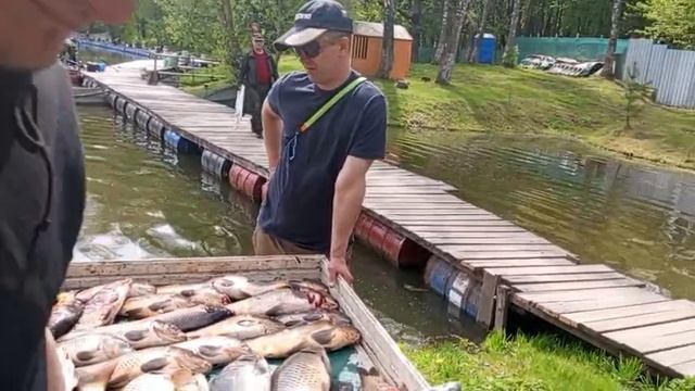 18.05.25 г. РК Волна смотреть онлайн