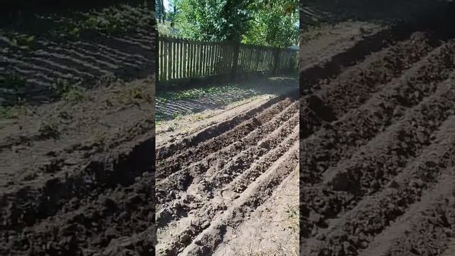 Мотоблок SHTENLI 1900B 14ЛС с приставкой смотреть онлайн