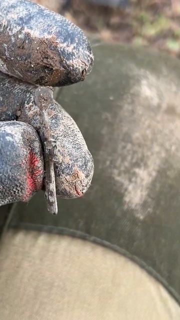 Редкий Петровский крестик! такой попадается раз в жиз? смотреть онлайн