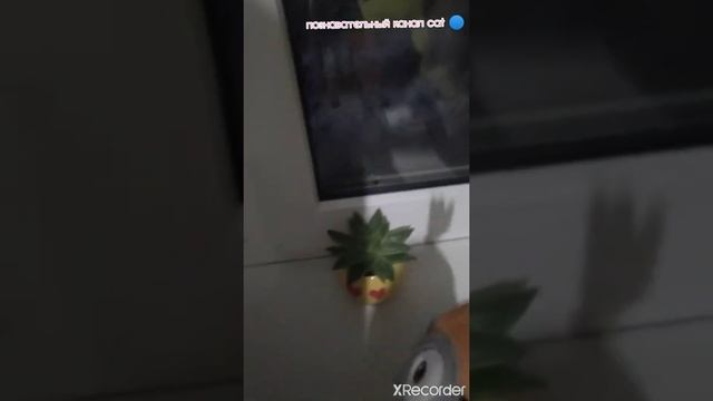 город cat (сезон 1)-(серия 2) снег💦💨💨🌨️🌨️🌨️❄️❄️☄️🌫️