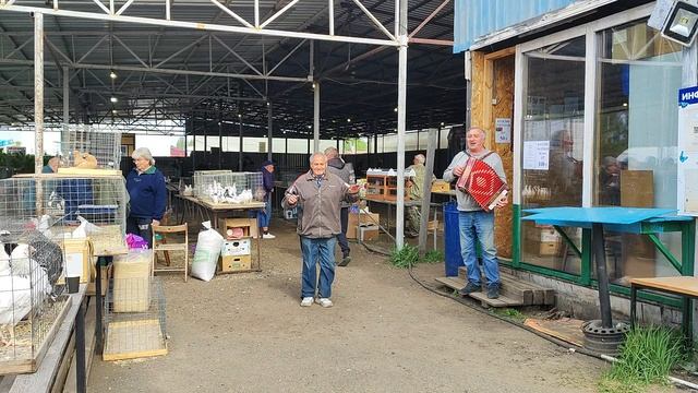 18.05.2025г ст.Бронницы Танцы под Музыку!!! смотреть онлайн