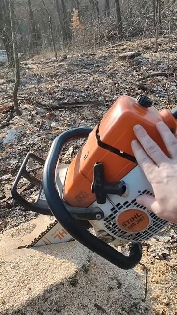 11 квітня 2025 р. смотреть онлайн