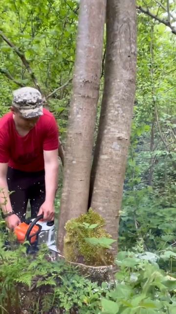 STIHL - MS 180 валка! смотреть онлайн