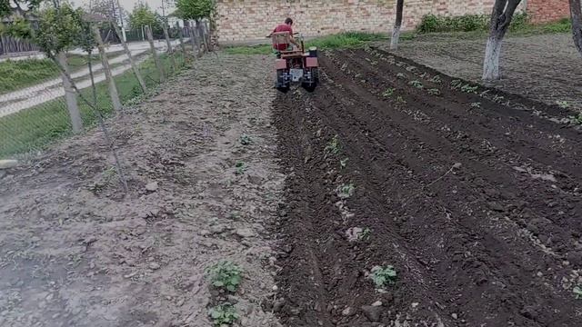 мтз Беларус 05 триколка смотреть онлайн