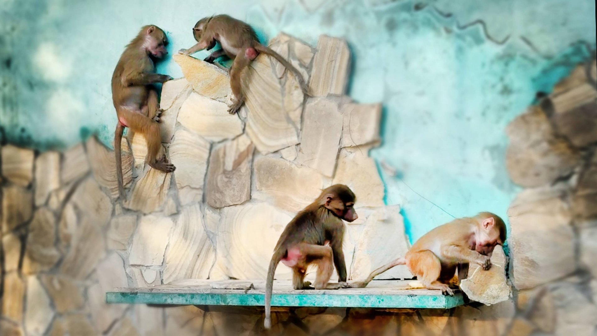 Люся и Тося затеяли ремонт, ломают стены! Главное не перессориться! А то кирпич башка попадет! смотреть онлайн