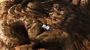 Годзилла и Конг: Новая империя (Godzilla x Kong: The New Empire, (2024)