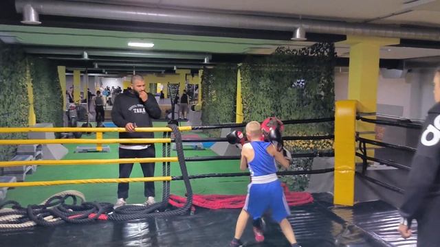 Клуб молот спарринги смотреть онлайн