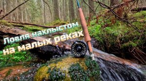 Ловля нахлыстом на малых реках в 2025 году