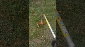 stihl fs 38 заглушен ускоритель.