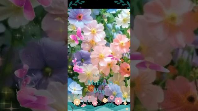 РОМАШКА БЕЛАЯ - ВАЛЕРИЙ СЁМИН, АВТОР ТАТЬЯНА. смотреть онлайн