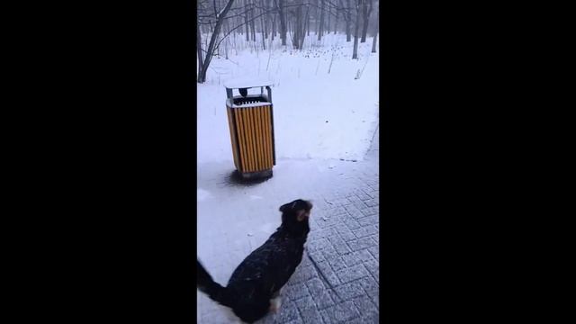 ХОЧЕТСЯ ЖИТЬ. ПЕСНЯ НА СТИХИ ДЖУЛИИ КОРОНЕЛЛИ. МУЗЫКА ? смотреть онлайн