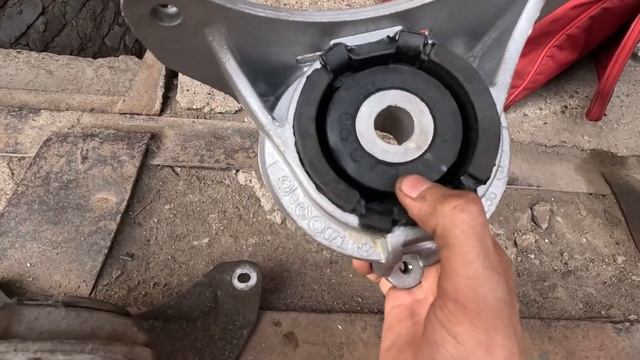 Тренировка профессионалов