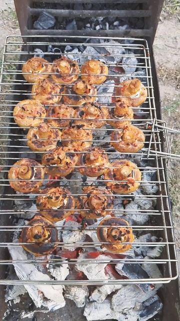 Жарим шашлык из шампиньонов.