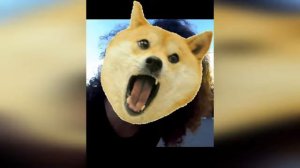 Я собака ты собака