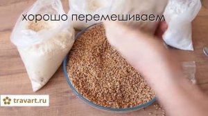 Выращивание мицелий грибов на пшенице  малый бизнес