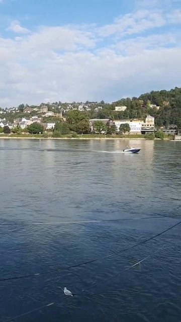 Красивые места в германии.Город Кобленц.#shorts смотреть онлайн