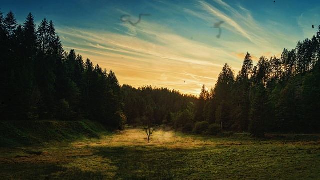 ВЫ ТОЧНО ЕГО ВИДЕЛИ, НО НИЧЕГО О НЕМ НЕ ЗНАЕТЕ! /Интерес смотреть онлайн