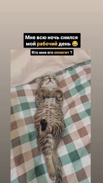 Мне всю ночь снился мой рабочий день смотреть онлайн