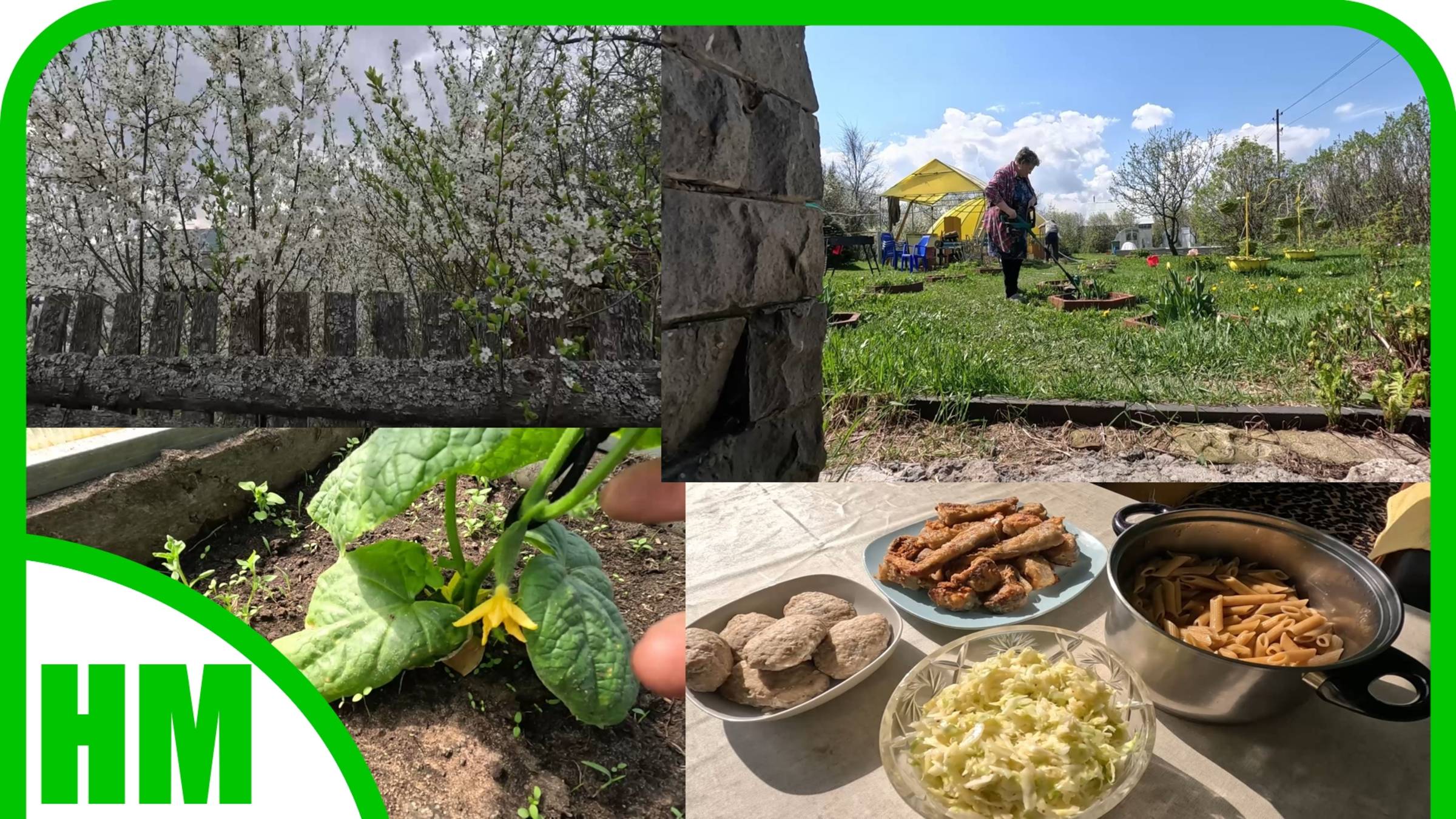 18 мая. Удивительное растение. Почему не видят красоты? Триммер в работе. Готовка. Вкусный салат. смотреть онлайн