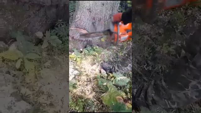 хусварна 372 китай(от покупателя) смотреть онлайн