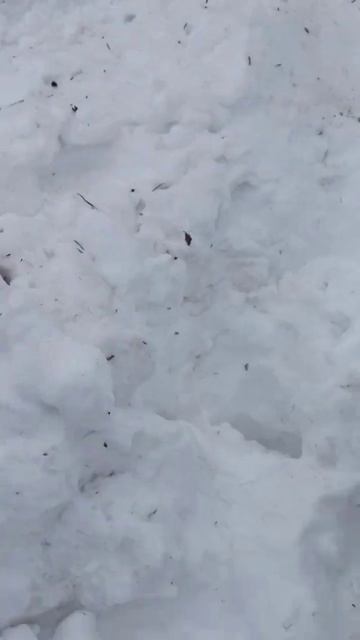 Электро #Сноубайк# закрытие сезона. первый раз за весь смотреть онлайн