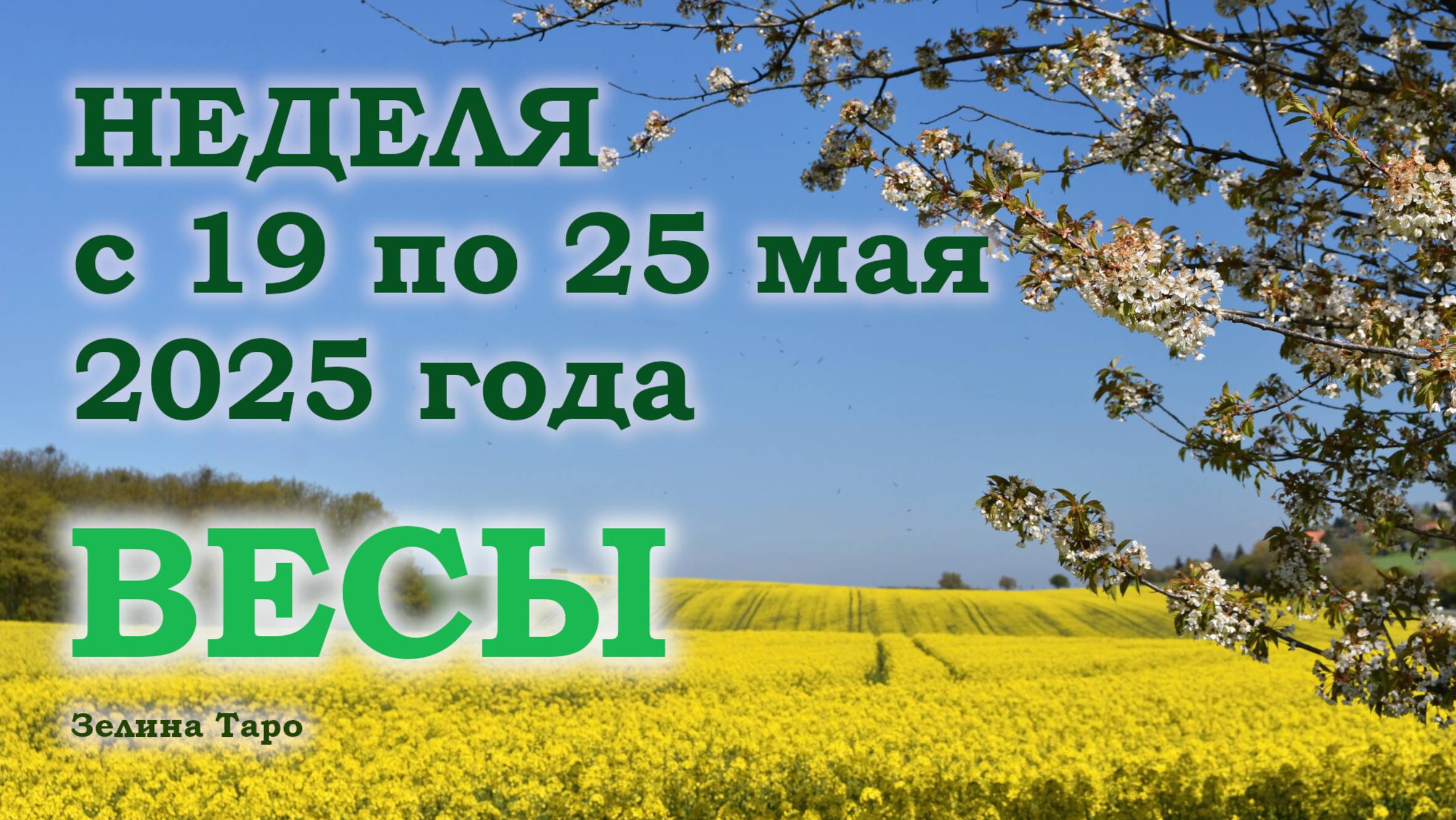 ВЕСЫ | ТАРО прогноз на неделю с 19 по 25 мая 2025 года