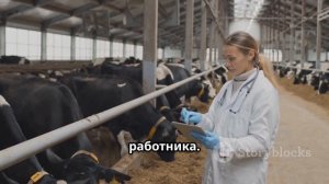 Бизнес план бизнес идея Ферма хозяйство в Таджикистан