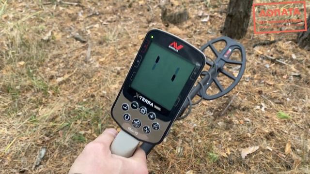 #minelabxterraelite  Мультичастота ? MINELAB  всё же лучший ? Вопрос?