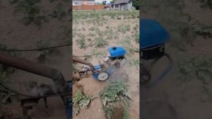 Самоходный окучник в работе