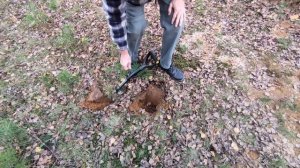 Nokta legend 1.17 VS 1.07 software/прошивка. Можно ли обновляться ?! те