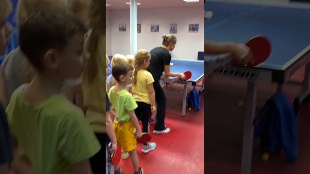НАСТОЛЬНЫЙ ТЕННИС