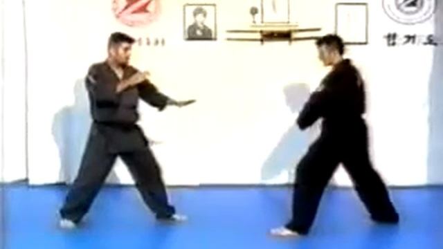 Hapkido - Yang Hum Kwan / Хапкидо - Техника ударов ногами смотреть онлайн