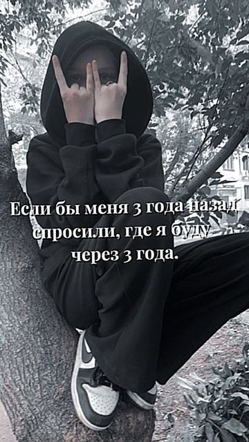 Видео топ #рекомендации #активвернись #шитцу -#топ смотреть онлайн