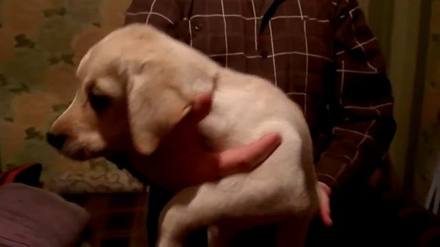 Киви.2.5 месяца