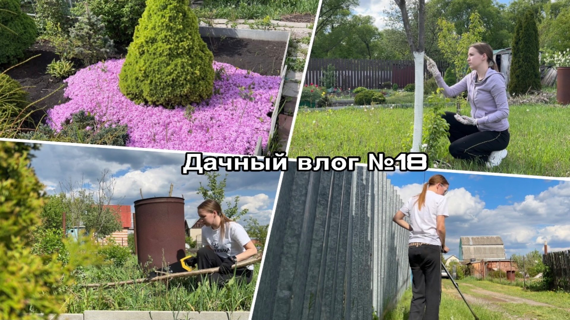 Дачный влог №18 🍓 Преображение участка | Про новый забор