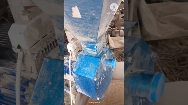 ЛУЧШАЯ ЗЕРНОДРОБИЛКА на 220 вольт | Дробилка для зерна 3 смотреть онлайн