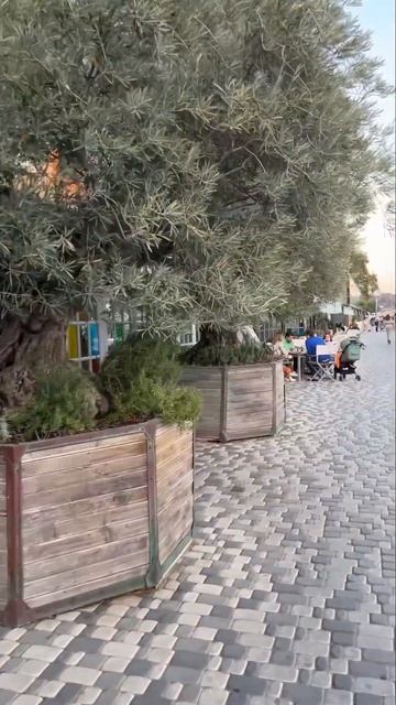 Мини путешествие в Крым ласточкино гнездо 1-4 ноября 2024 смотреть онлайн