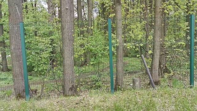 В 2034 году в 100 метрах от вашего дома откроется станция метро «Лопатино». смотреть онлайн